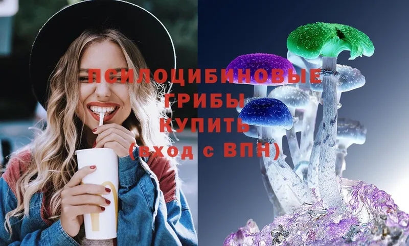 Галлюциногенные грибы Psilocybine cubensis  мега ссылки  Дедовск 